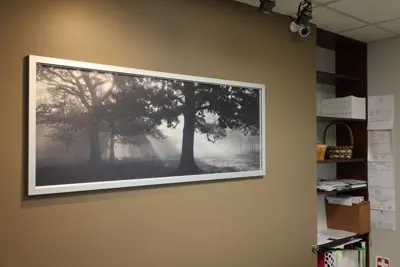 art decorating the walls of Serenity Dental in Spokane, WA